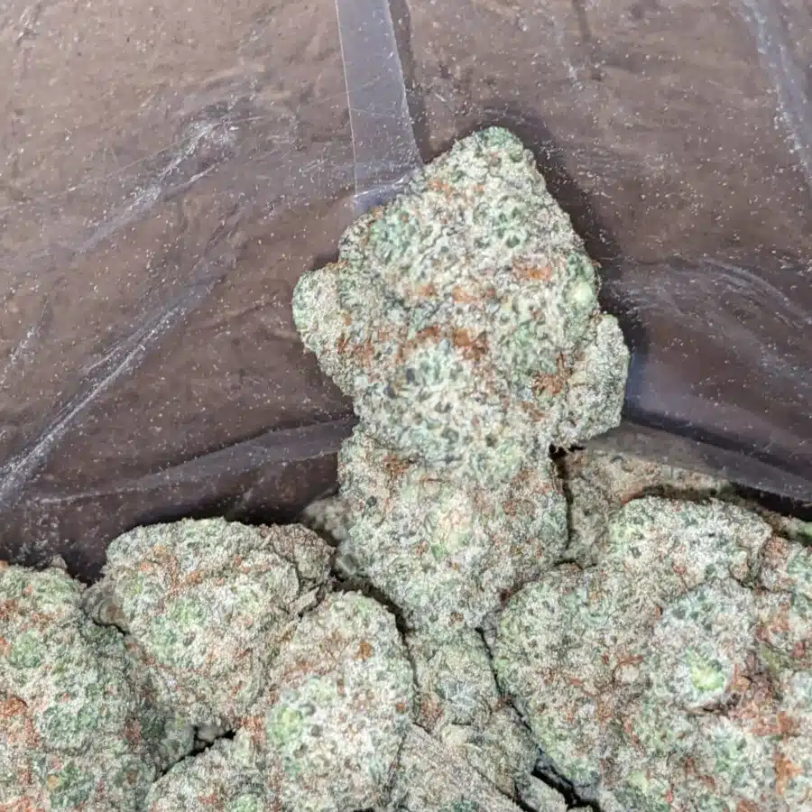 Guava 1 1 I Guava