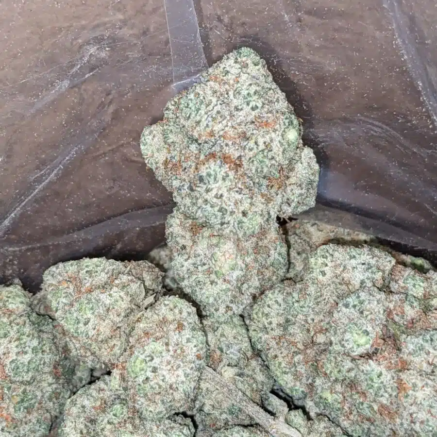 Guava 3 1 I Guava
