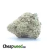 Lavender Bulk Special
