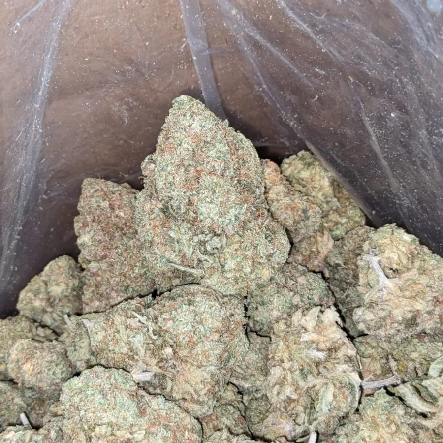 Lavender Bulk Special 1 I Lavender Bulk Special