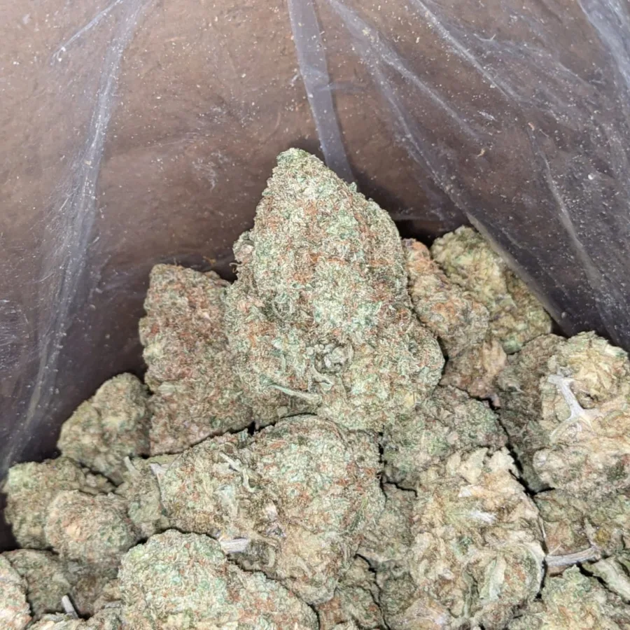Lavender Bulk Special 2 I Lavender Bulk Special