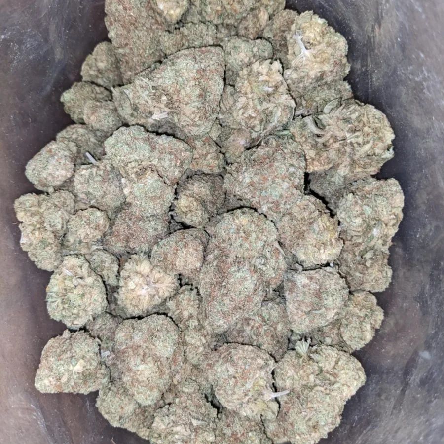 Lavender Bulk Special 3 I Lavender Bulk Special