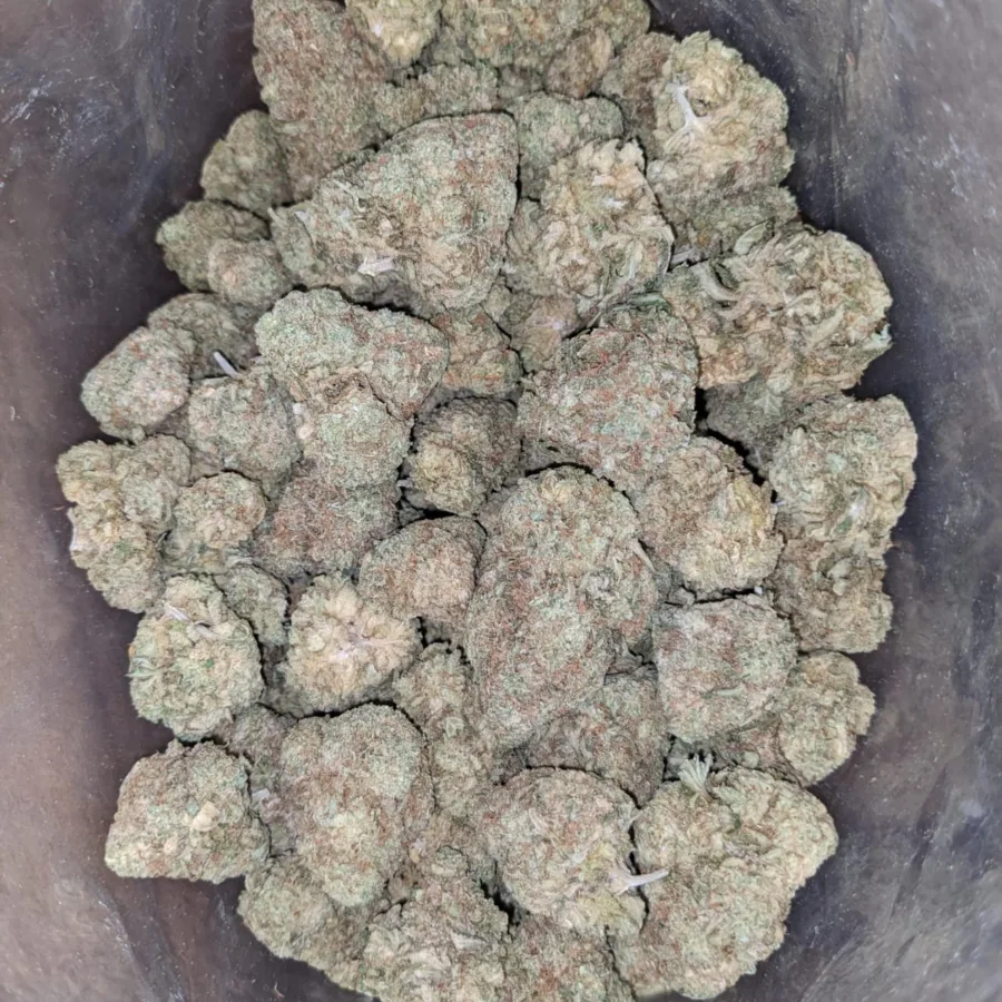 Lavender Bulk Special 4 I Lavender Bulk Special