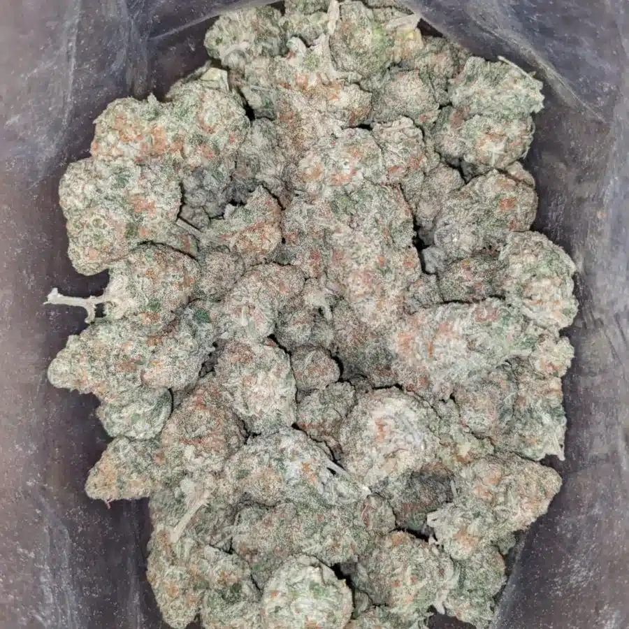 M.A.C Cookies