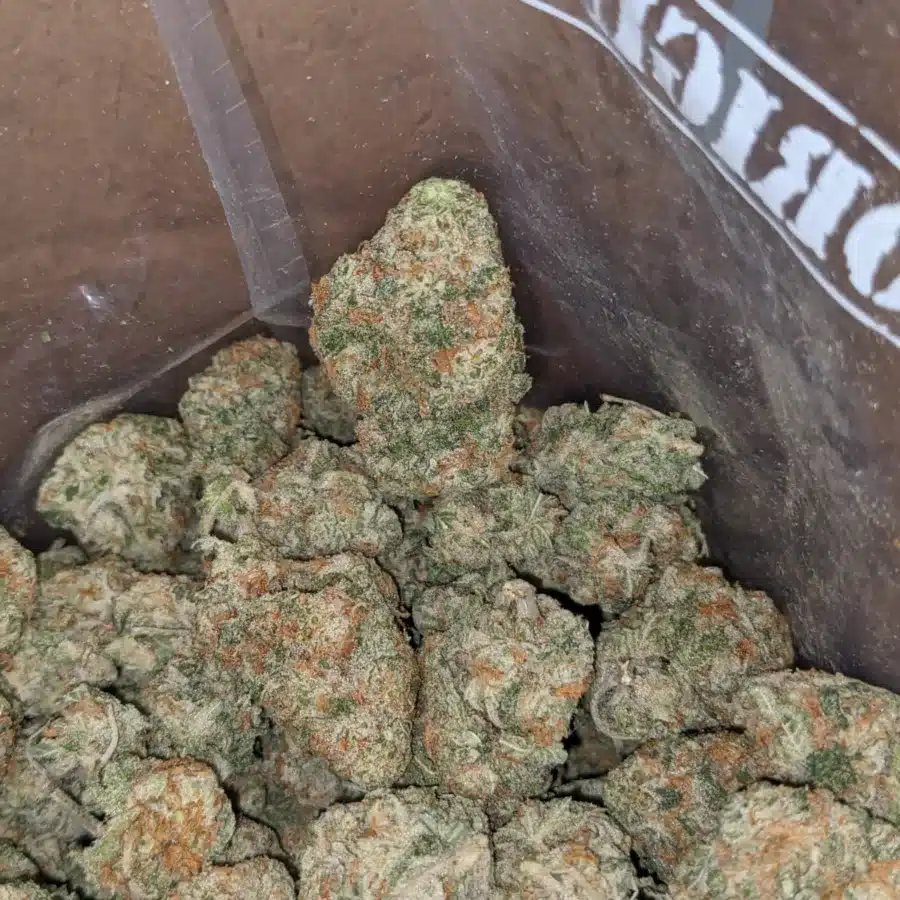 M.A.C Cookies 3 I M.A.C Cookies