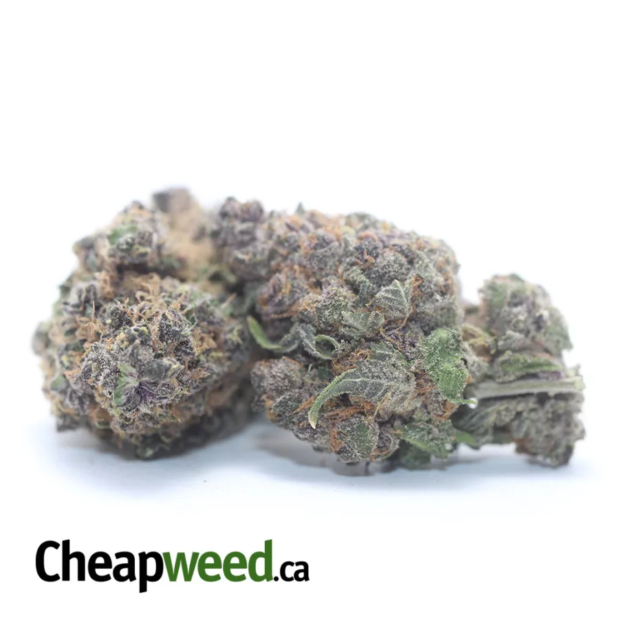 Alternative view of $ 44 Oz - Mimosa