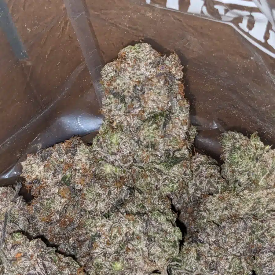 MK Ultra Fire 1 I MK Ultra Black Ops