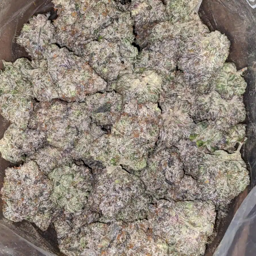 MK Ultra Fire 2 I MK Ultra Black Ops