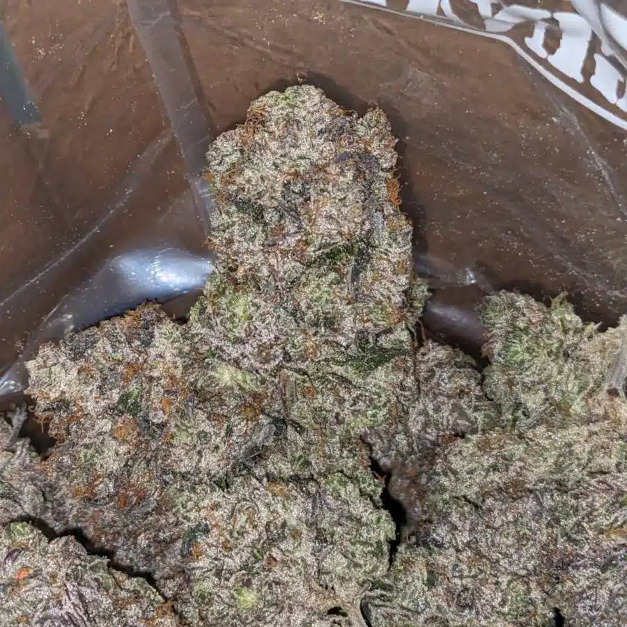 MK Ultra Fire 3 I MK Ultra Black Ops