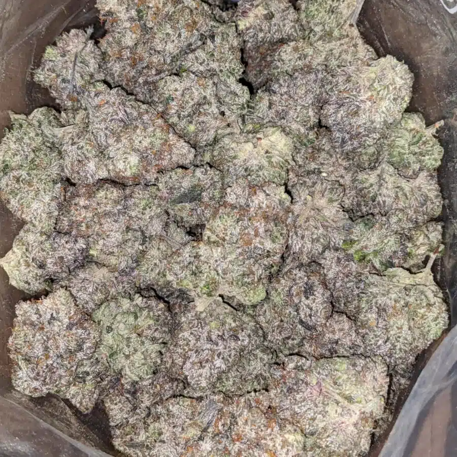 MK Ultra Fire 4 I MK Ultra Black Ops