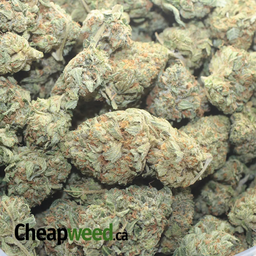 OG WRECK 1 I OG Wreck