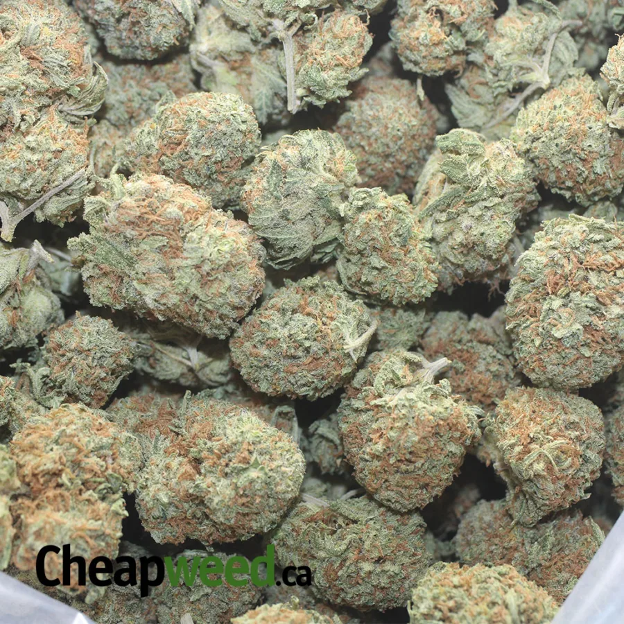 PLATNIUM BLACKBERRY 1 I $ 40 Oz - Platinum Blackberry