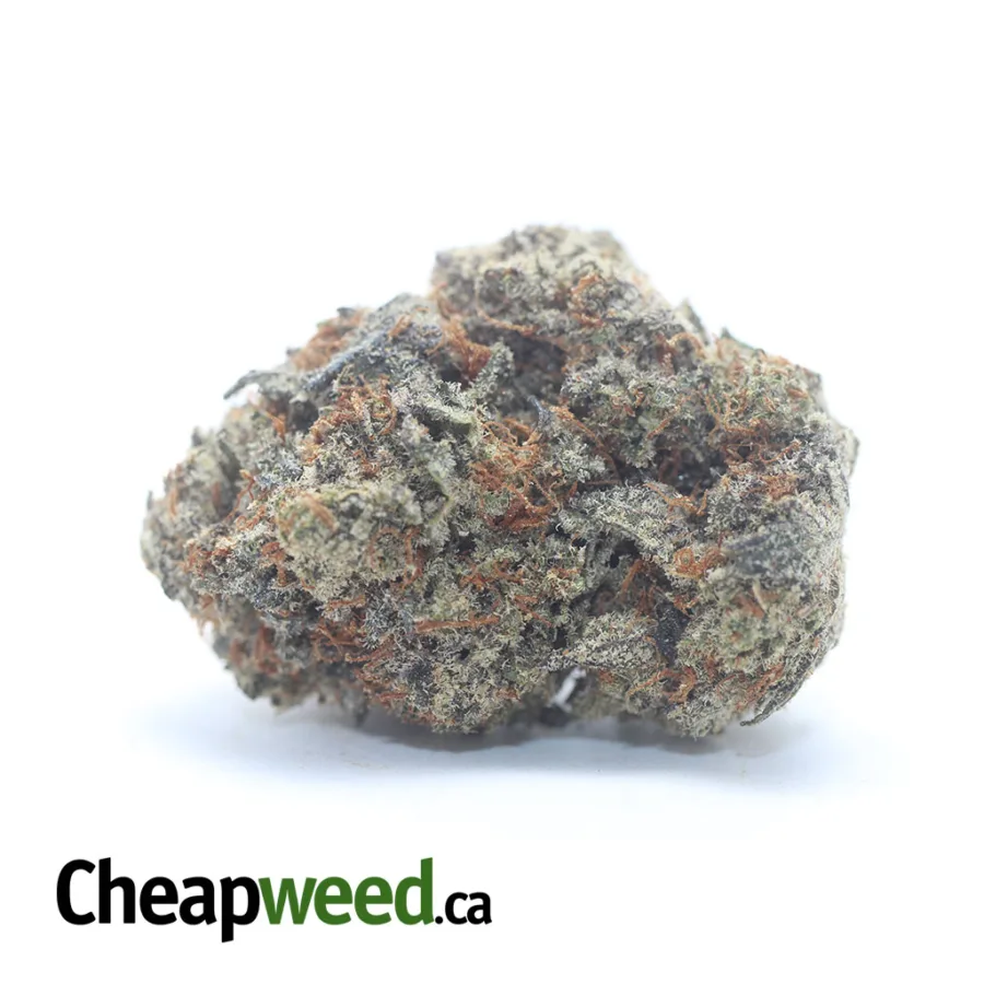 Platinum Blueberry