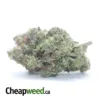 Purple AK-47