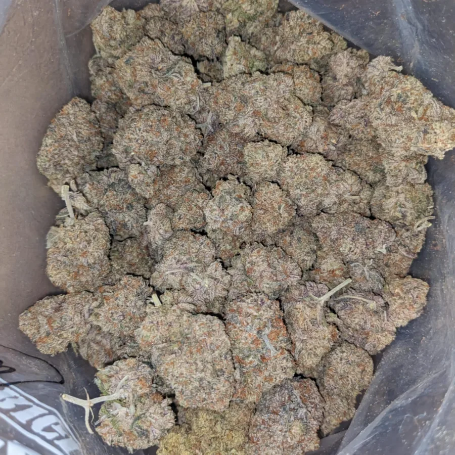 Platinum Blueberry 2 I Platinum Blueberry