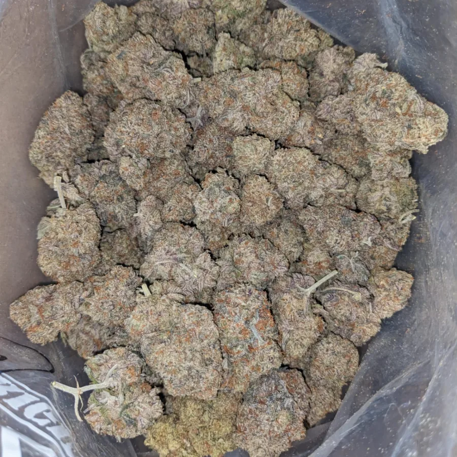 Platinum Blueberry 3 I Platinum Blueberry