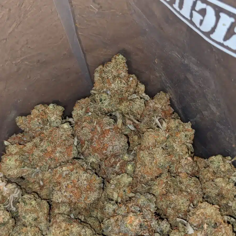 Pugs breath 1 I $ 45 Oz - Pugs Breath