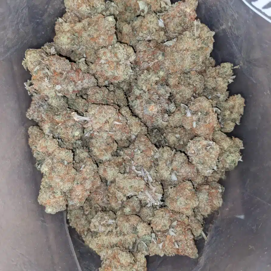 Pugs breath 2 I $ 45 Oz - Pugs Breath