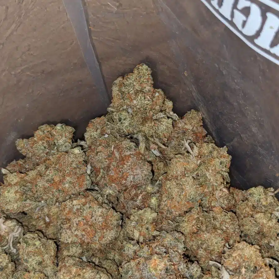 Pugs breath 3 I $ 45 Oz - Pugs Breath