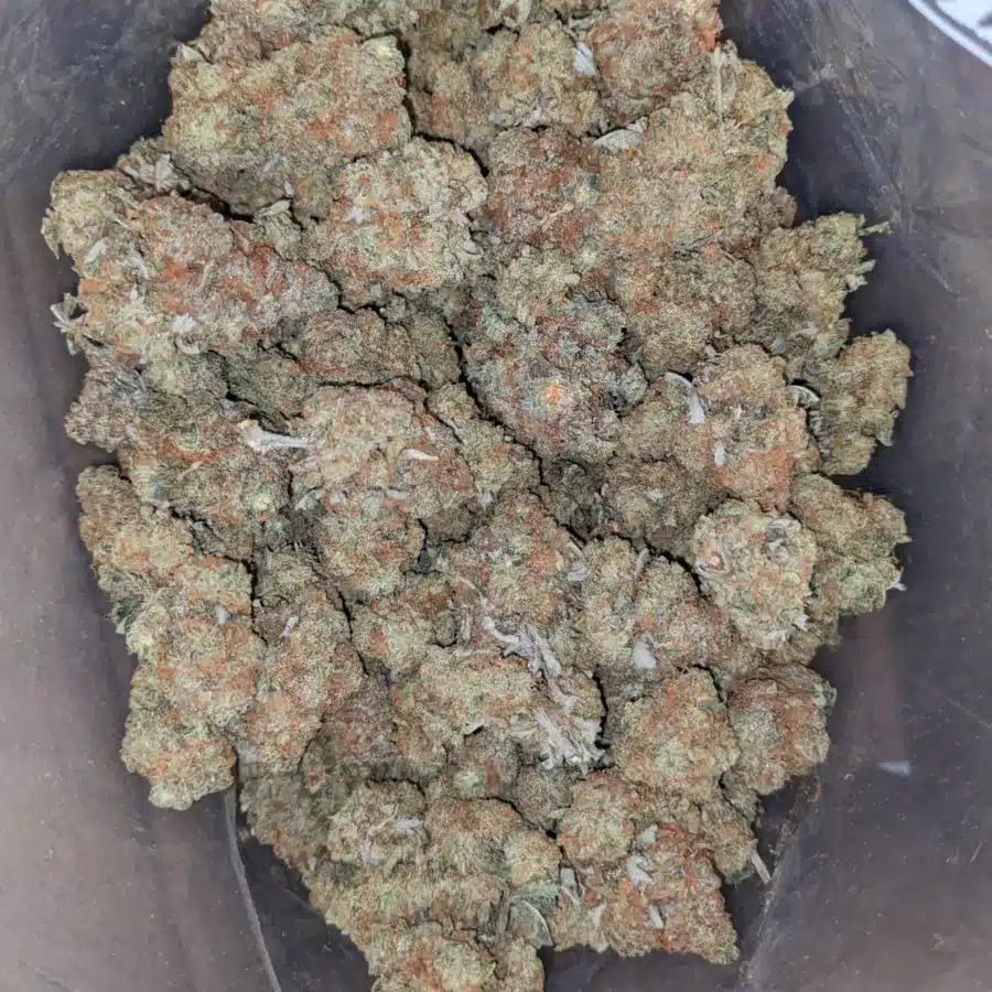 Pugs breath 4 I $ 45 Oz - Pugs Breath