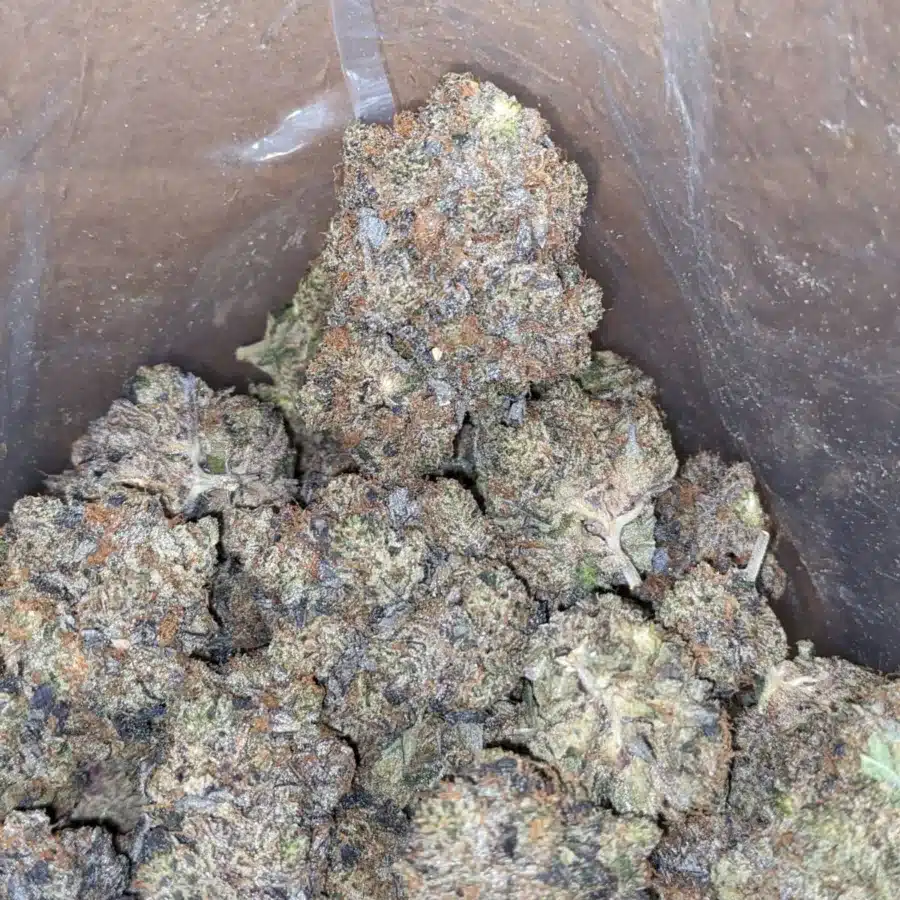 Purple Hindu Kush 1 I $ 105 Oz - Purple Hindu Kush
