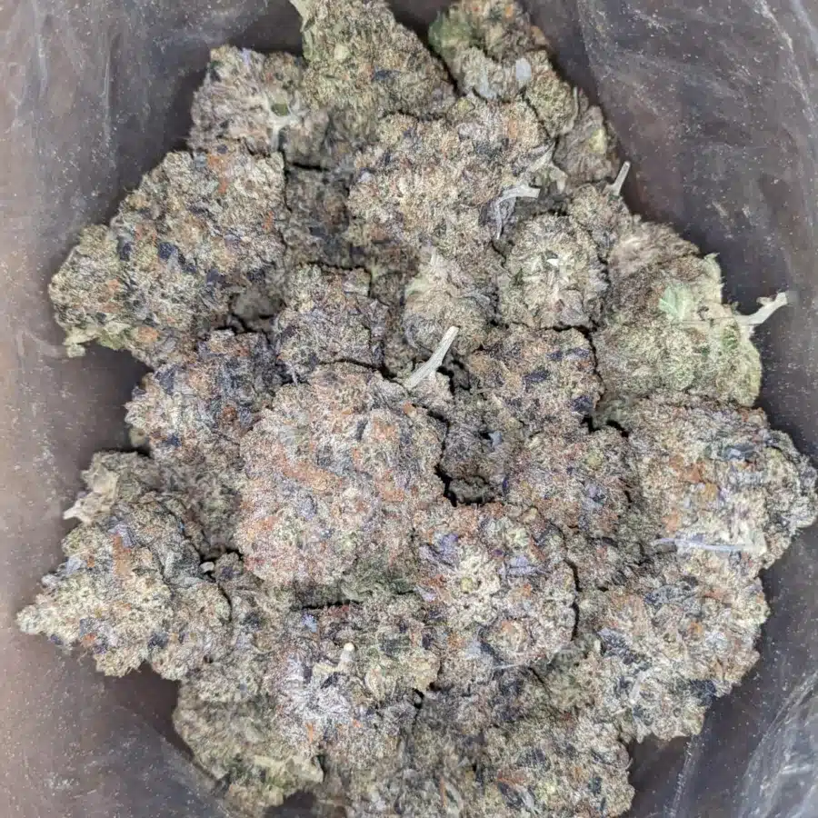 $ 105 Oz - Purple Hindu Kush
