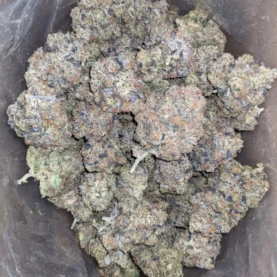 Alternative view of $ 105 Oz - Purple Hindu Kush