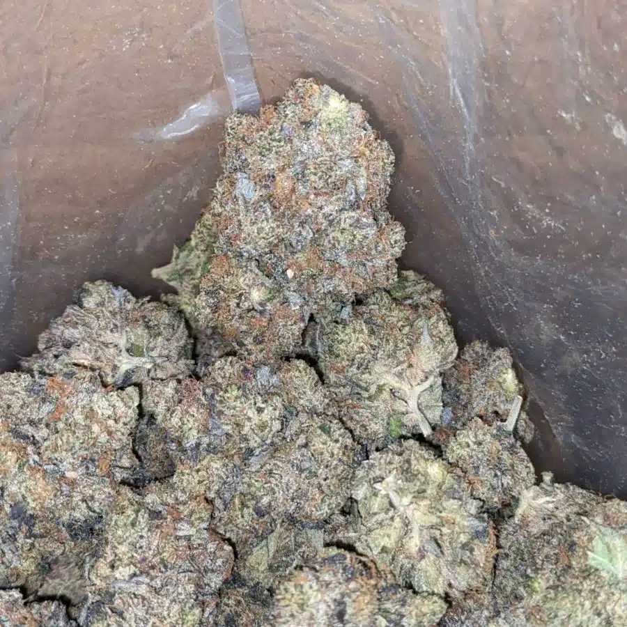 Purple Hindu Kush 4 I $ 105 Oz - Purple Hindu Kush