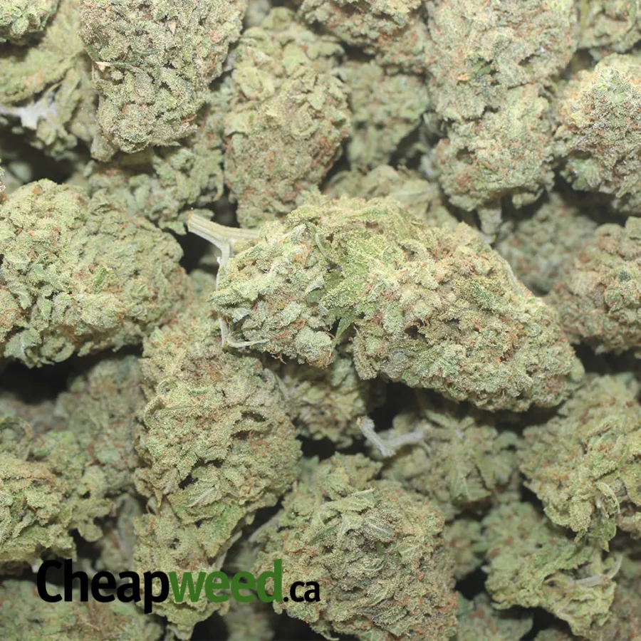 ROMULAN 1 I $50 Oz - Romulan