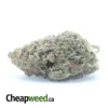 $50 Oz - Romulan