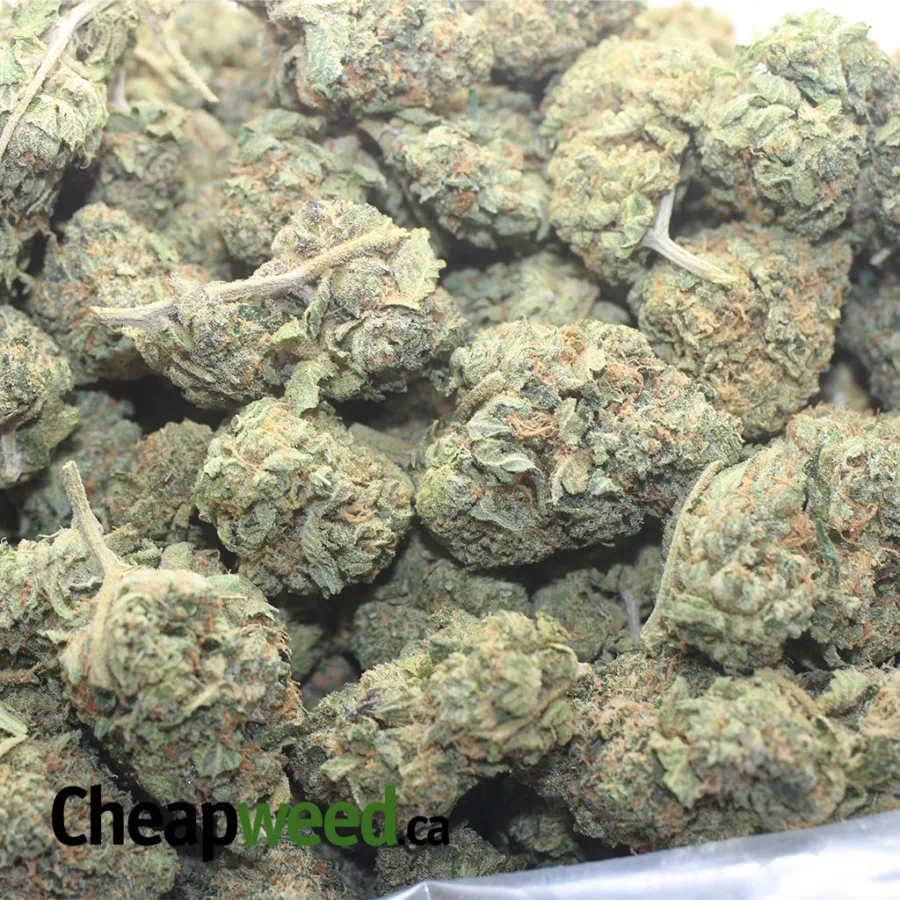 STRAWBERRY 1 I $ 42 Oz - Strawberry