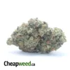 $ 42 Oz - Strawberry