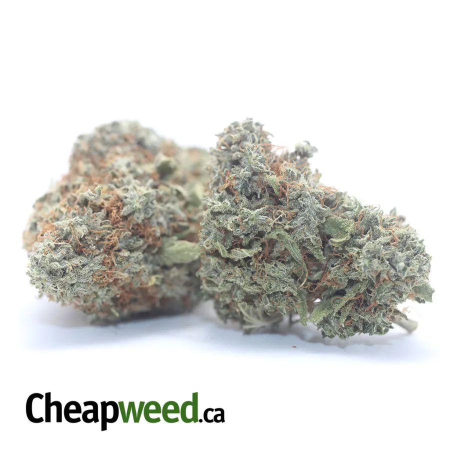 Alternative view of $ 44 Oz - Super Lemon Haze