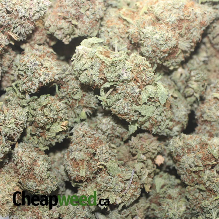 SUPER LEMON HAZE 5 I $ 44 Oz - Super Lemon Haze
