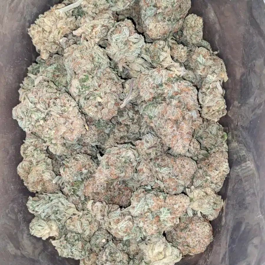 Super Lemon Haze 1 I Super Lemon Haze