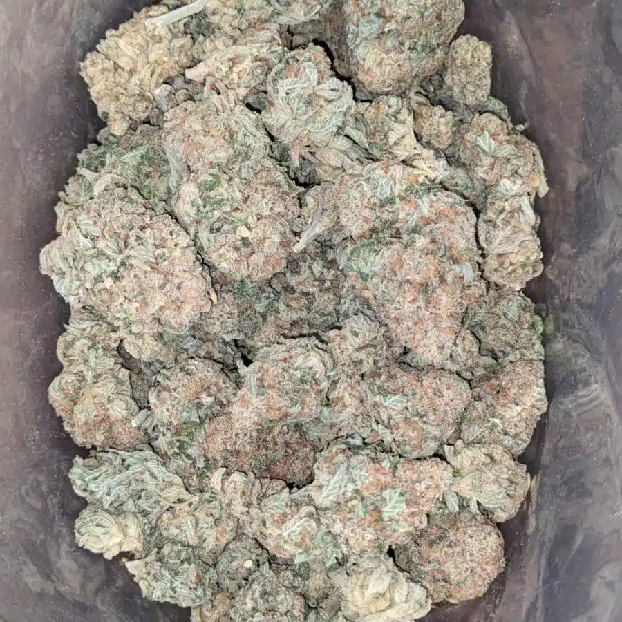 Super Lemon Haze 2 I Super Lemon Haze