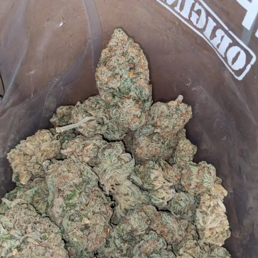Super Lemon Haze 3 I Super Lemon Haze
