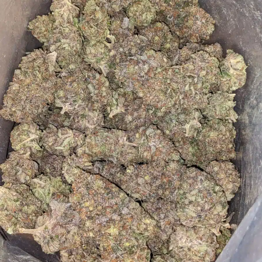 Alternative view of Tony's MK Ultra