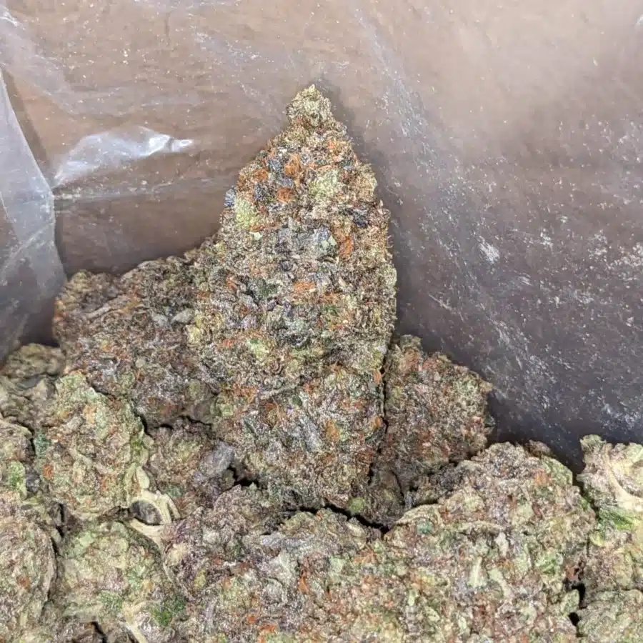 Tonys Mk Ultra 3 I Tony's MK Ultra