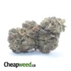 White Widow