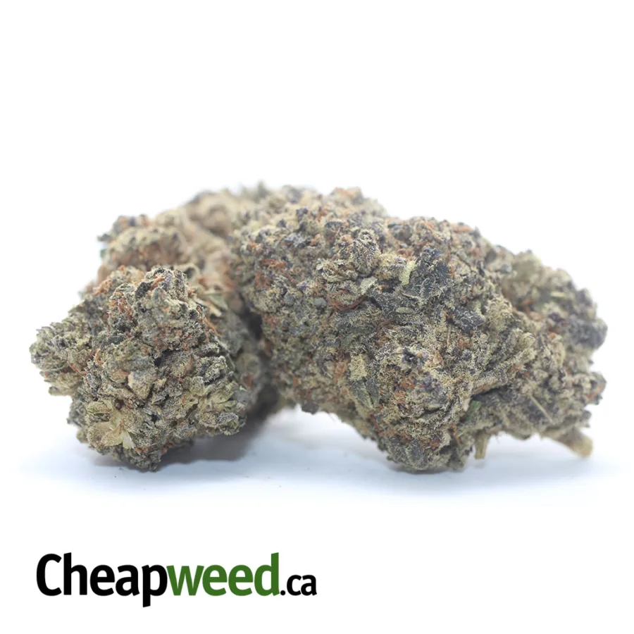 WHITE WIDOW 3 I White Widow