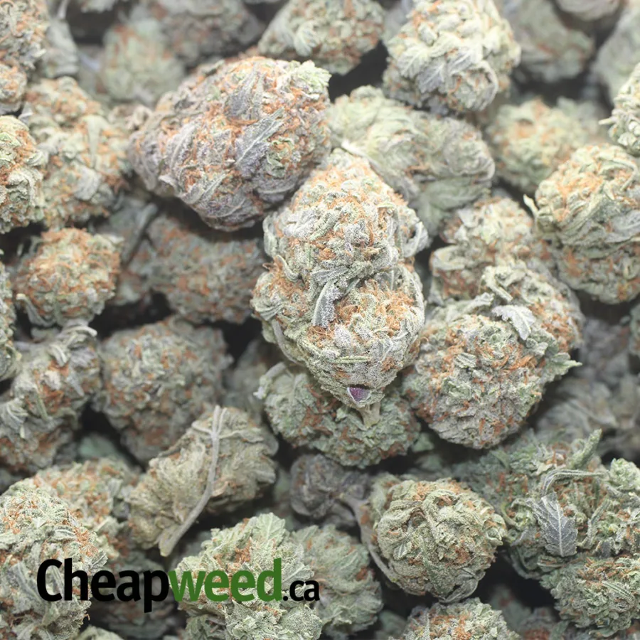 WIDOW BERRY 1 I $ 41 Oz - Widow Berry
