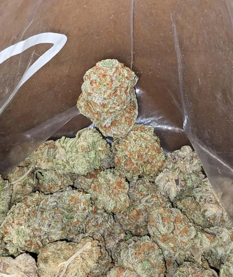 Window berry 1 I $ 41 Oz - Widow Berry