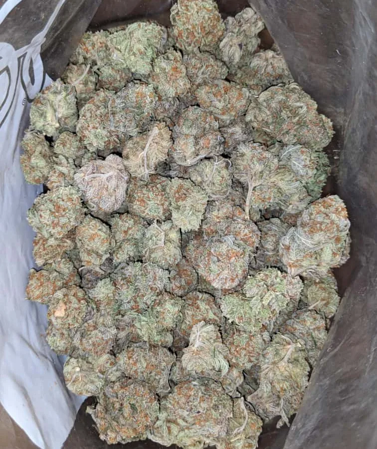 Window berry 2 I $ 41 Oz - Widow Berry