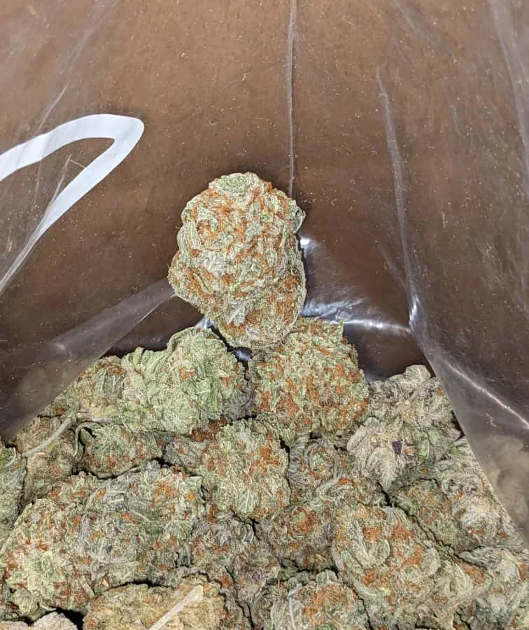 Window berry 3 I $ 41 Oz - Widow Berry
