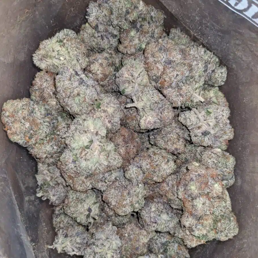 9LB Hammer