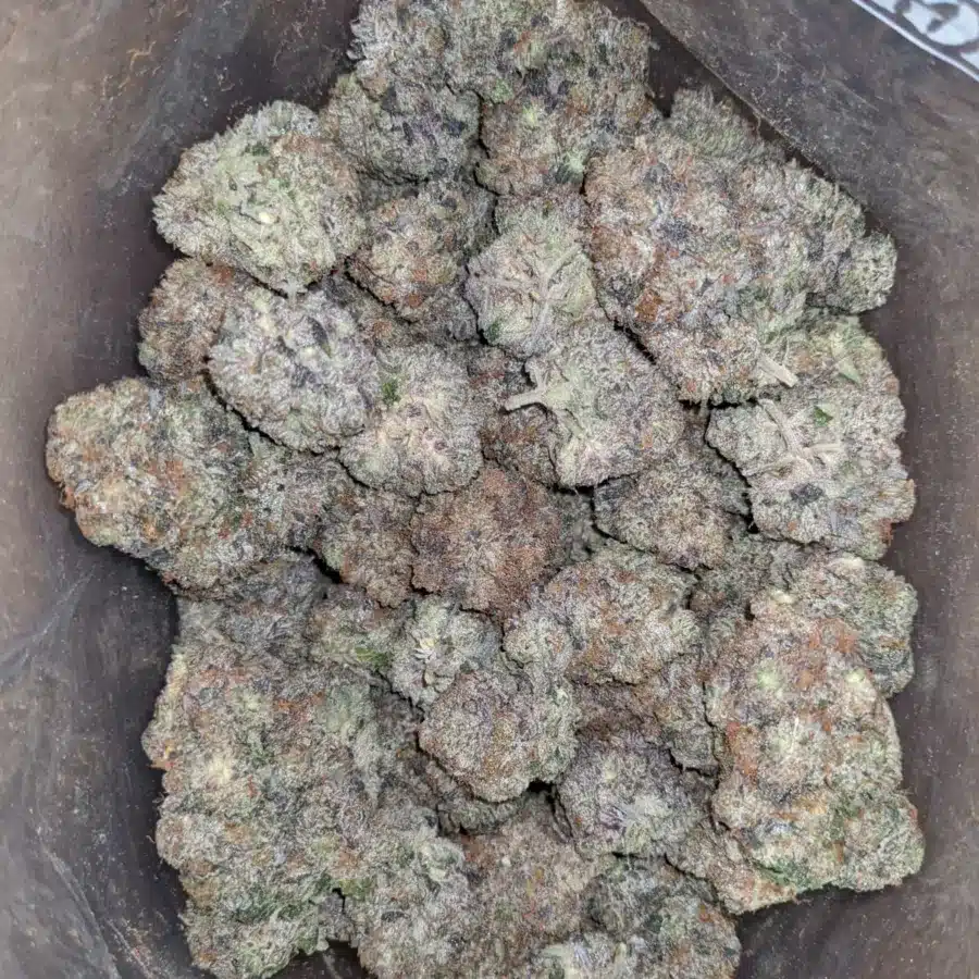 9 LB HAMMER 2 I 9LB Hammer