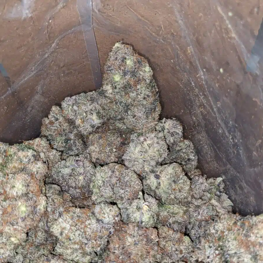 9 LB HAMMER 4 I 9LB Hammer