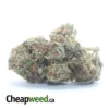 AA Amnesia Haze