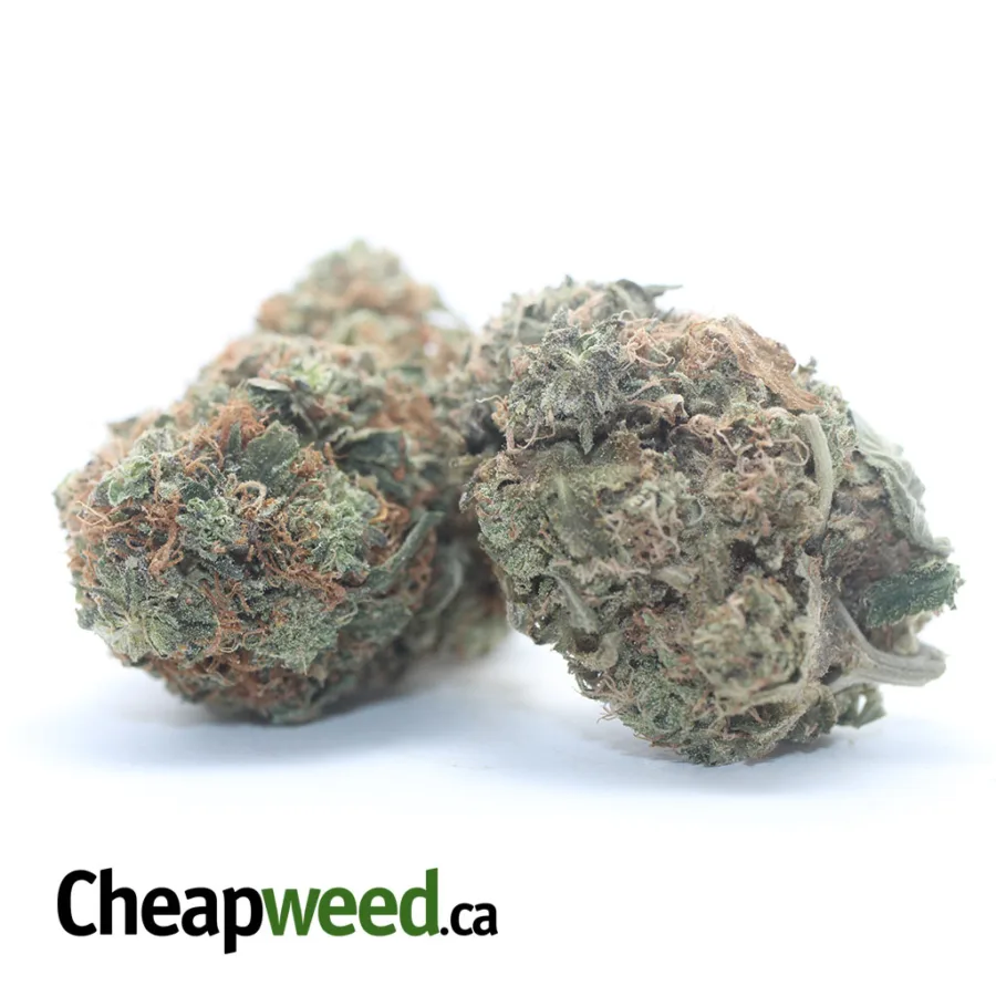 Alternative view of AA Amnesia Haze
